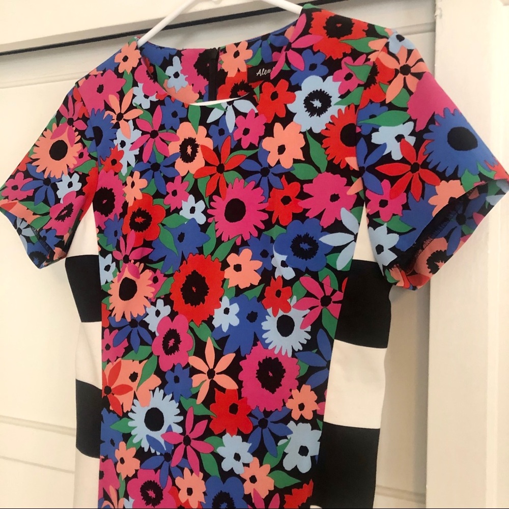 Alex + Alex Mod Mixed-Pattern Shift Dress - 2 - image 2